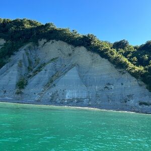 Meet your Posher, Maggie